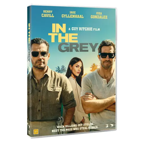 IN THE GREY