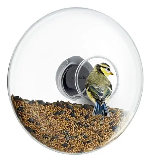 Eva Solo - Fuglemater for Vindu Ø 20 cm - Klart Glass & Frostbestandig