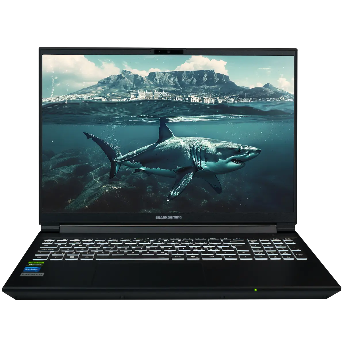 SharkGaming 9V16-60 Laptop