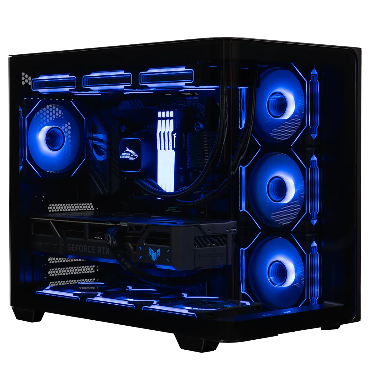 Shark Brutality Gaming-PC