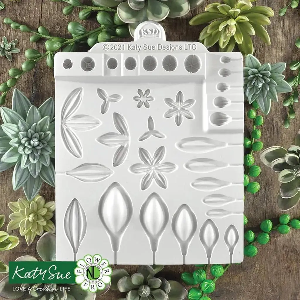 Katy Sue Mould – sukkulenter