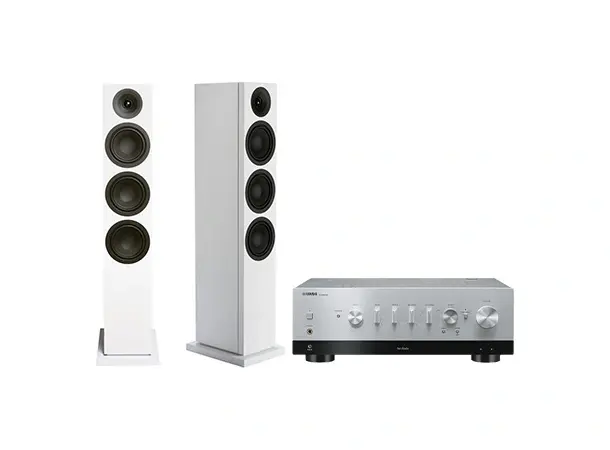 Yamaha R-N800A / SA Signature 40