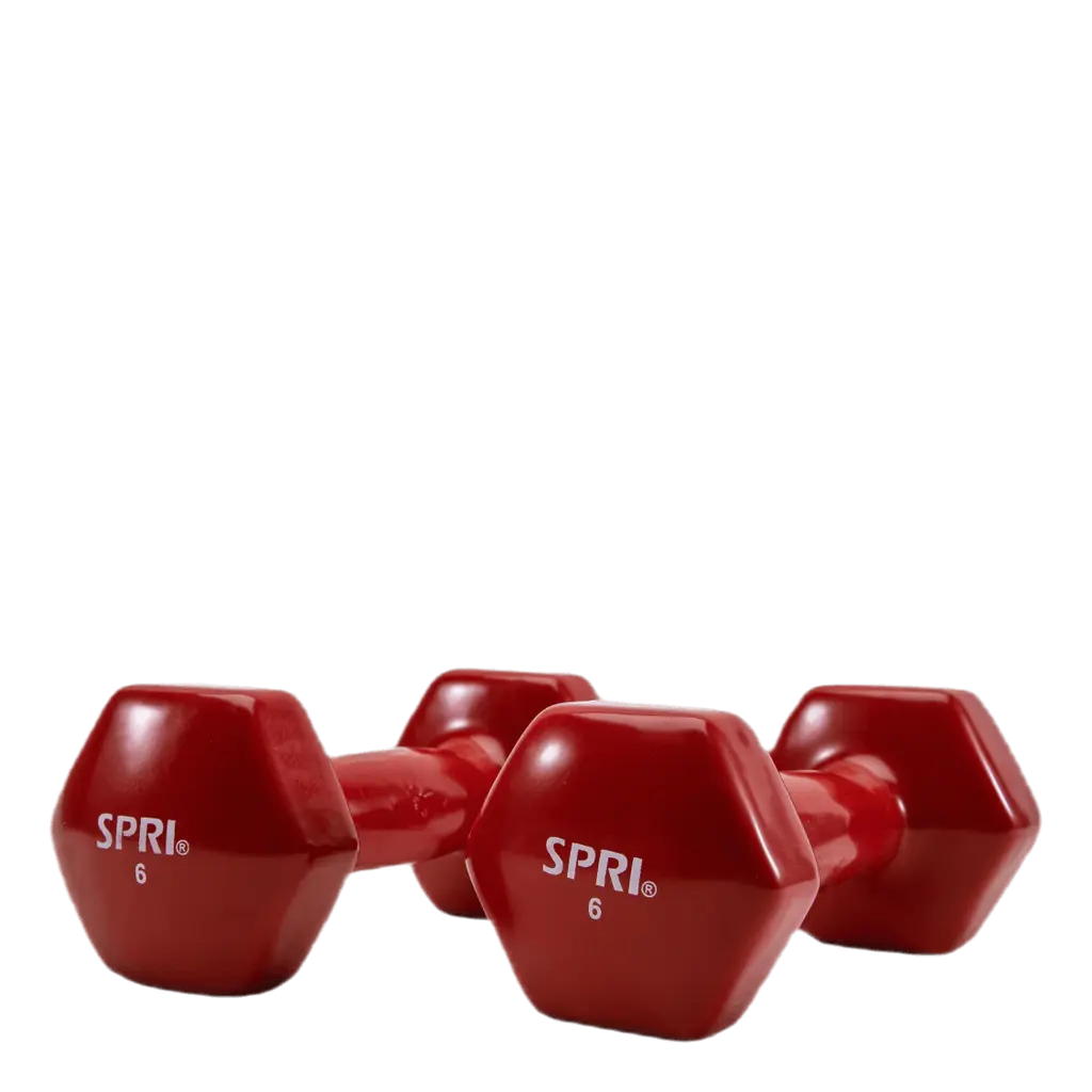 Dumbbell Vinyl 2,7KG/6LBS