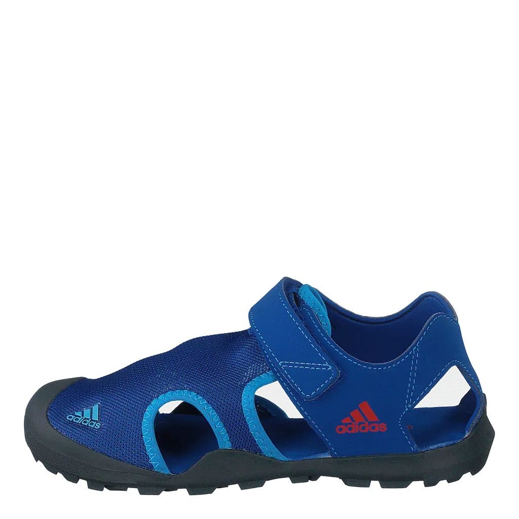 Captain Toey Shoes Blue Beauty / Grey Six / Active Red