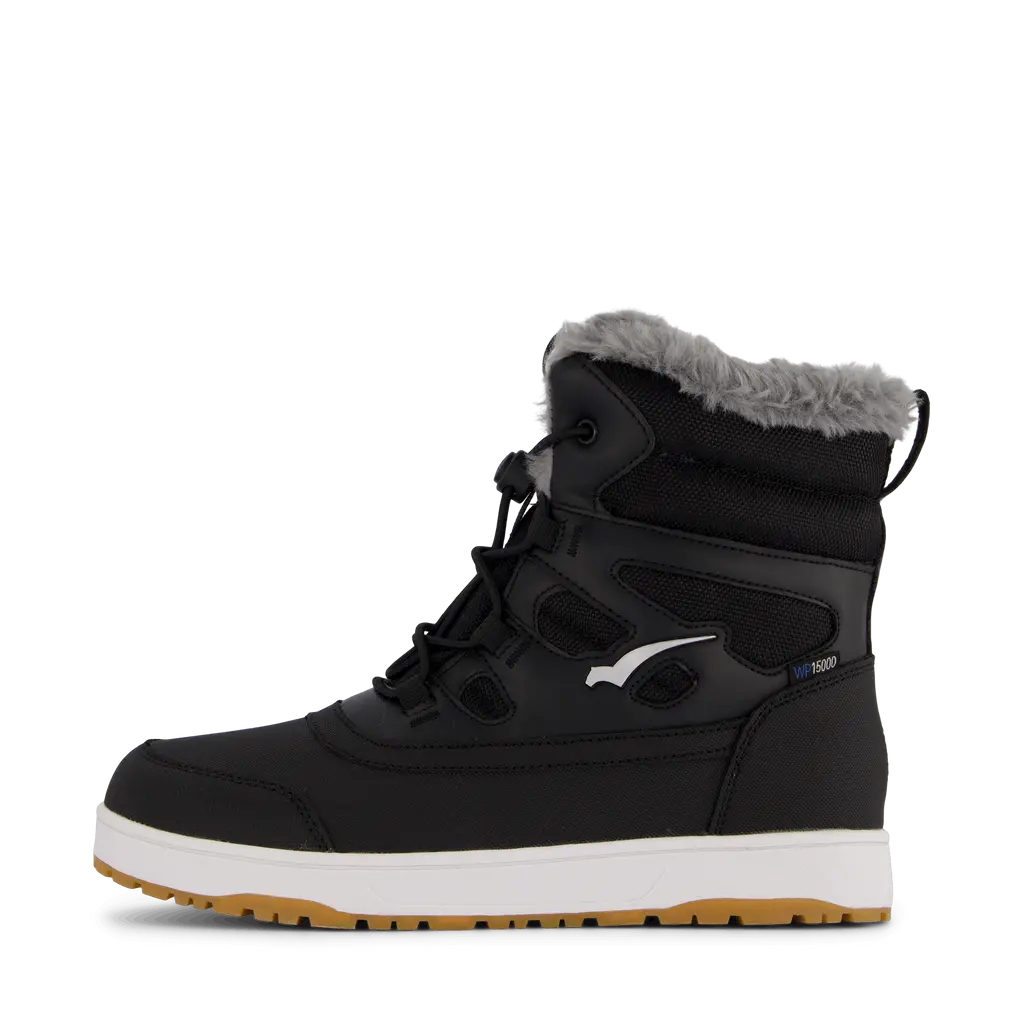 Snowy Black/white