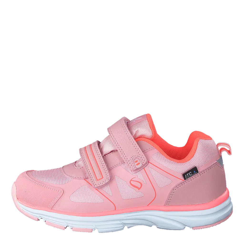 Hamar Coral