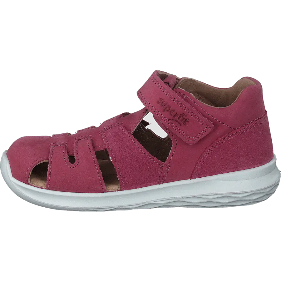 Bumblebee Pink