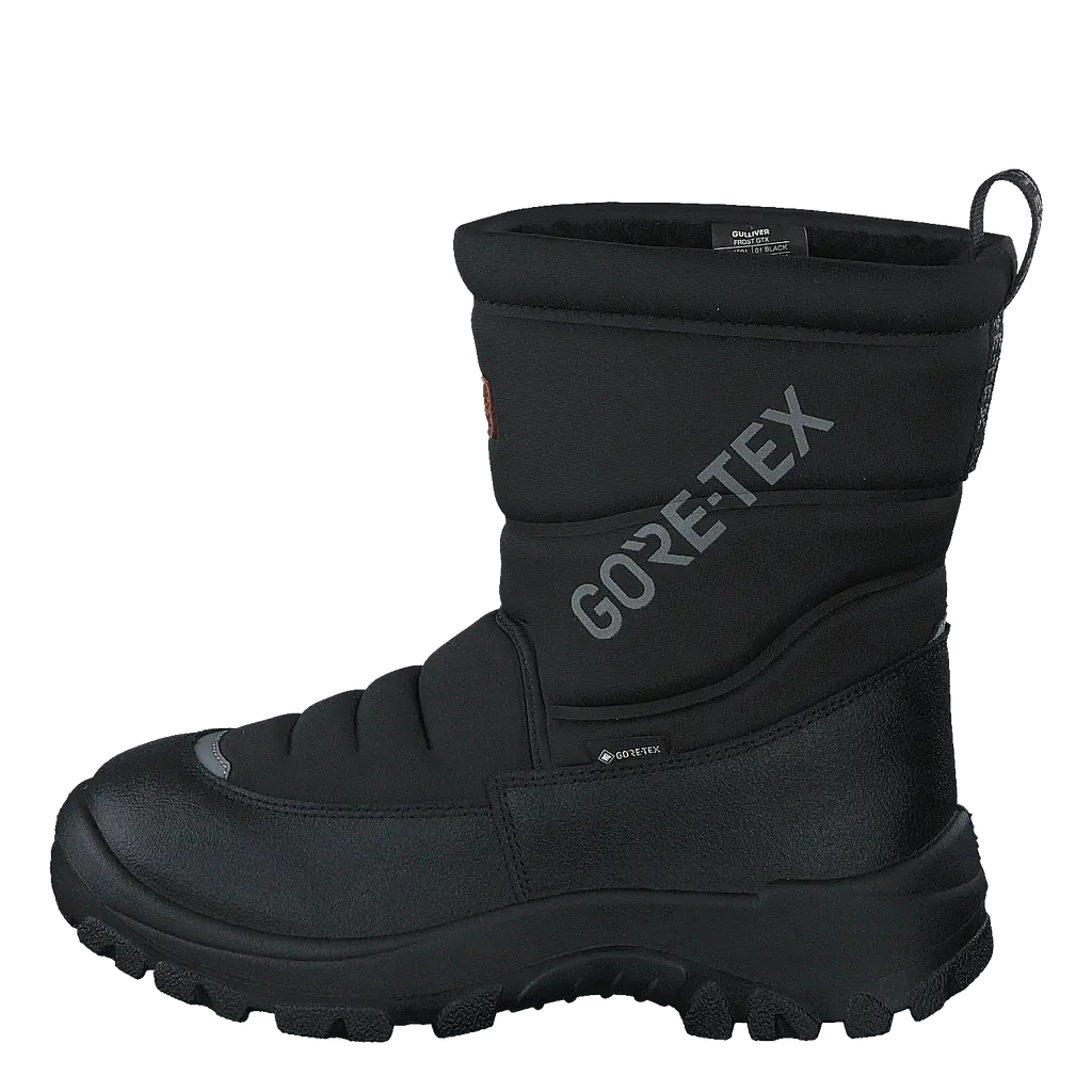 Frost Gtx Black