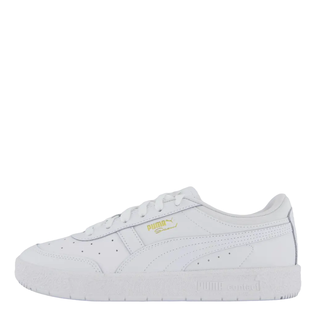Seoul Lth White-white