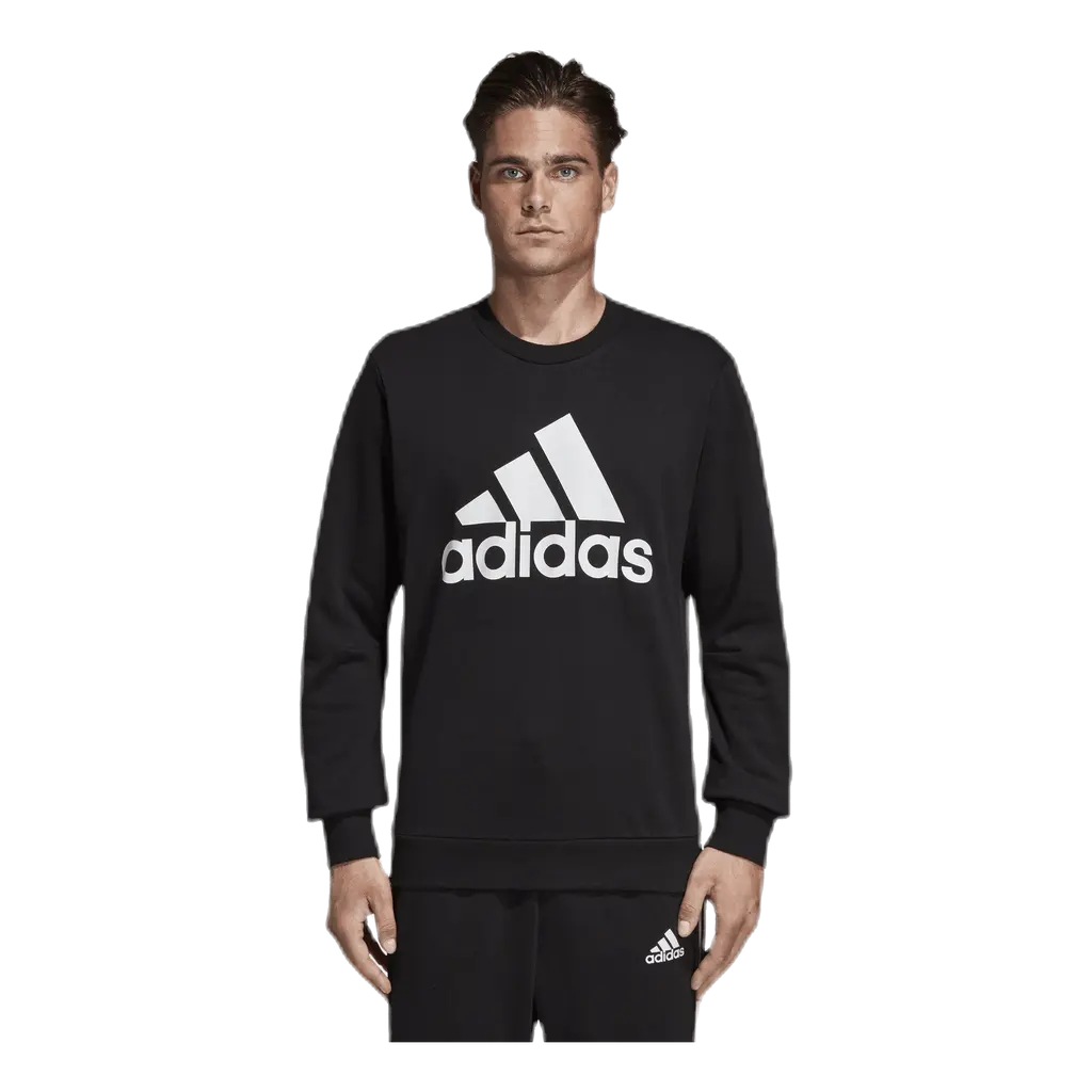 Must Have Fitted Crew White/Black