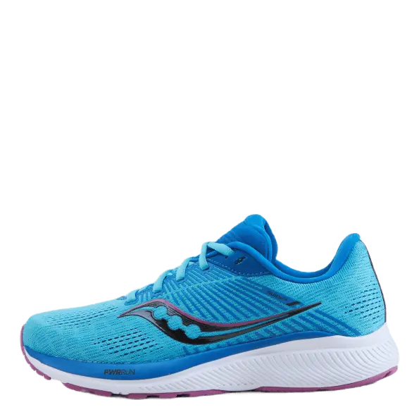 Guide 14 Blue Blaze/berry