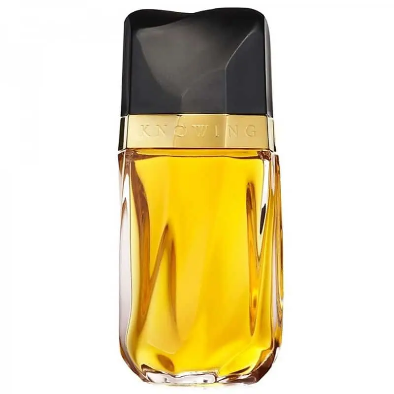 Estee Lauder Knowing edp 75ml - StylingAgenten Norge