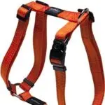 Rogz utility sele, 10 farger, 4 størrelser - XLarge, Rød
