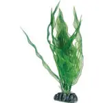Plastplante Aponogeton - 16 cm