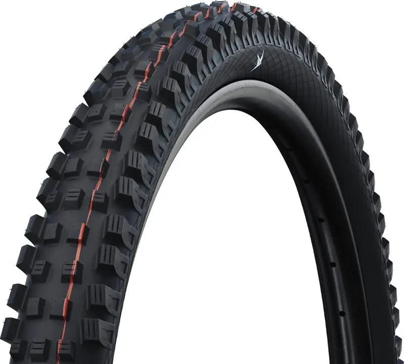 Schwalbe Magic Mary Folding