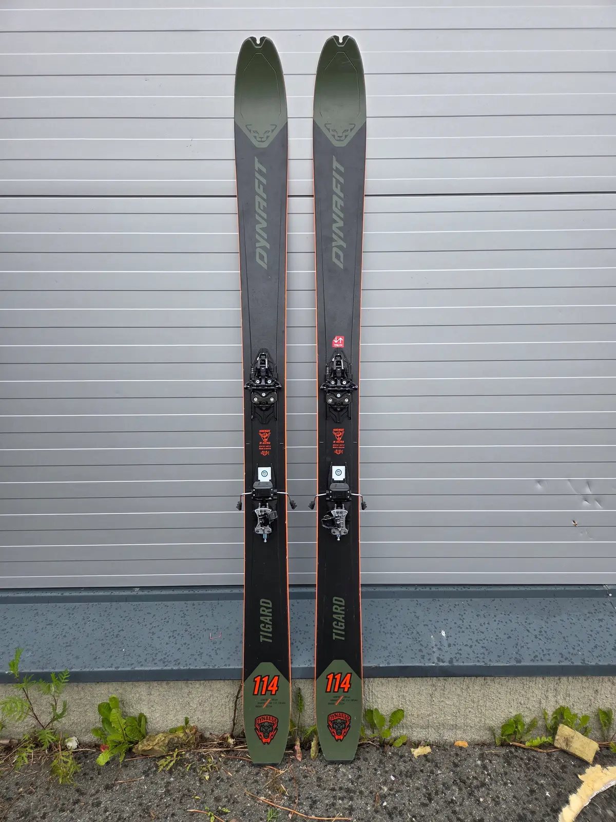 Demo Dynafit Tigard 114 188cm