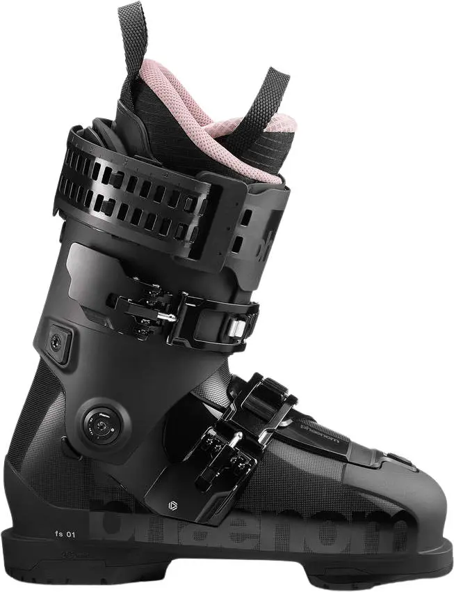 Phaenom FS 01 100