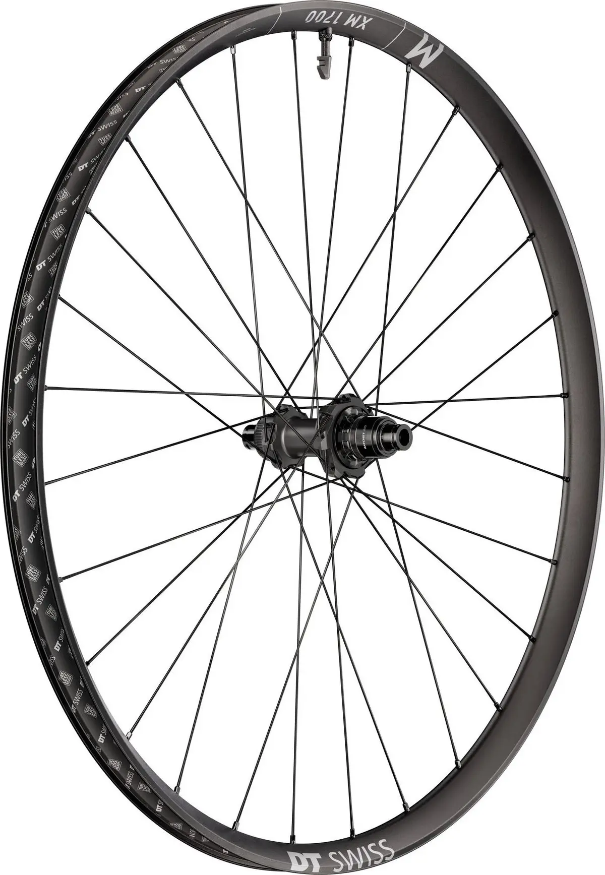 DT SWISS XM 1700 Spline 29" Rear