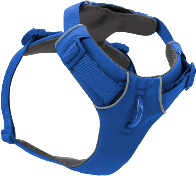 Front Range Harness Blue Pool