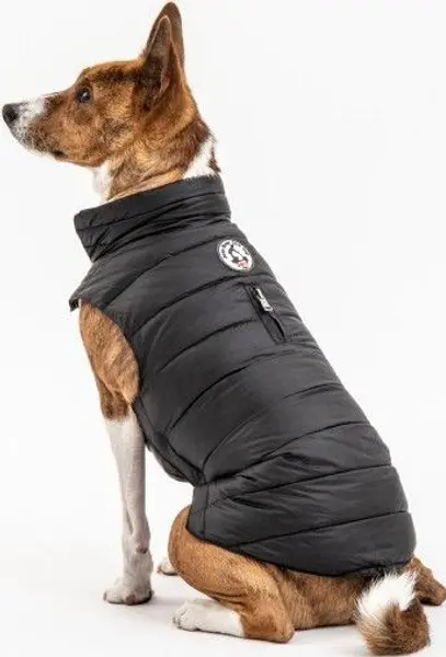 Hundedekken Black