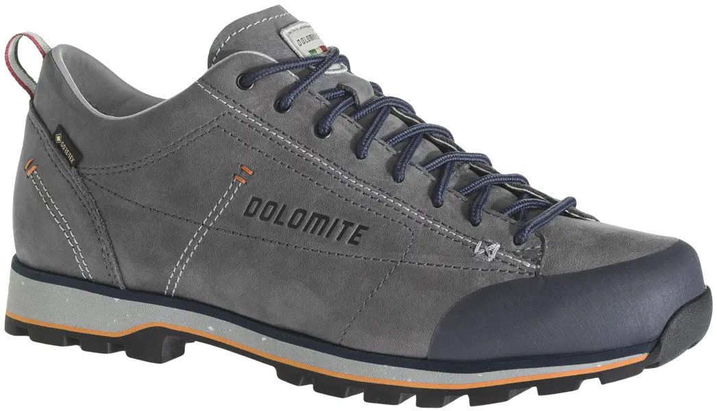 54 Low Fg Evo GTX Unisex Dark Brown