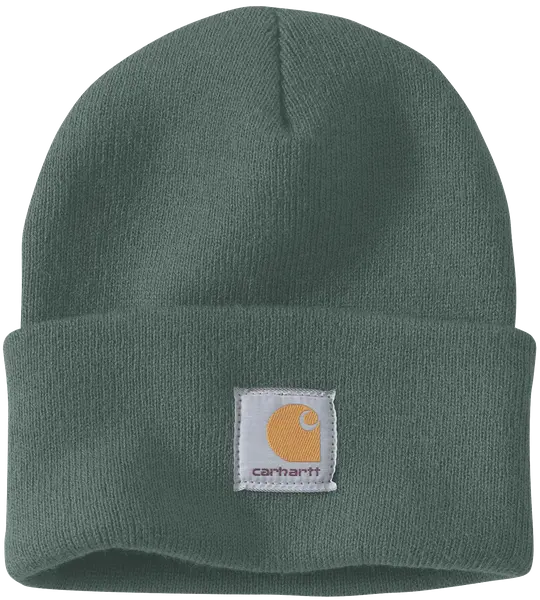 Carhartt Watch Hat Frosted Balsam