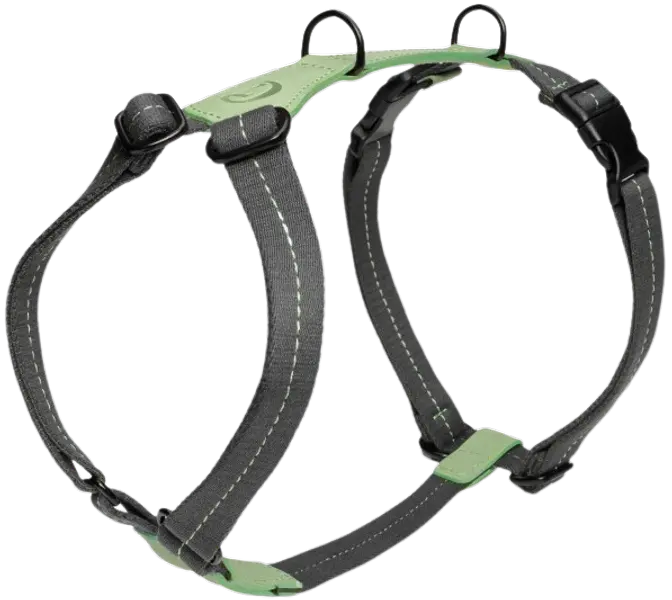 Harness XS-S Madeira Mint