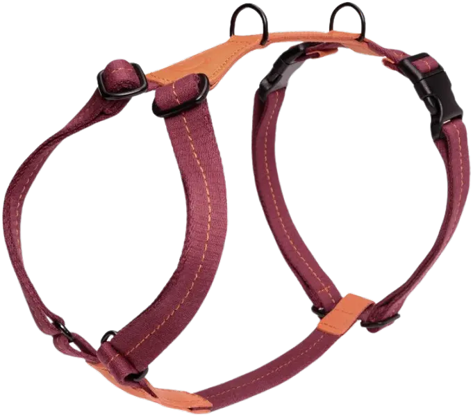 Harness Madeira M-L Papaya