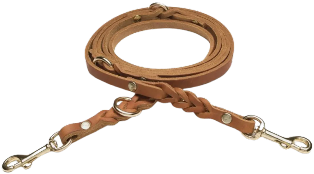 Leash Riverside Park L Camel Gold