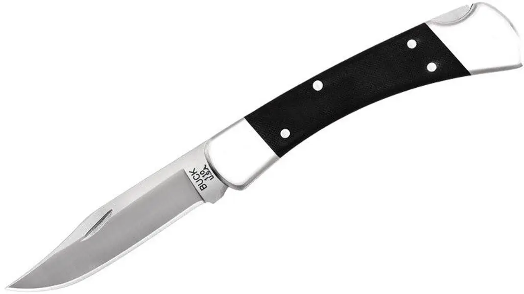 Buck 110 Folding Hunter Pro