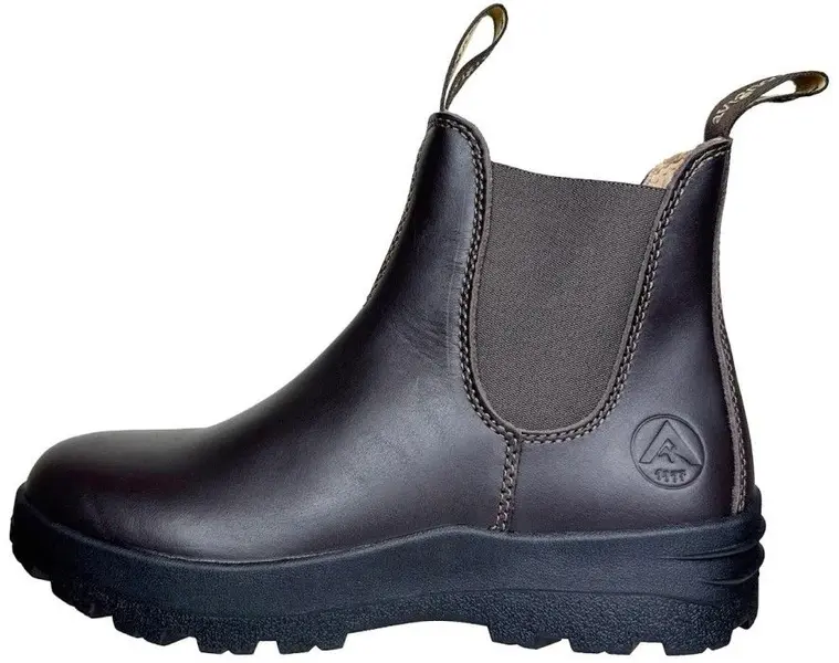 Avignon Darwin Jodhpurs Lær Dark Brown