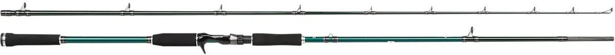 Beast X Pike 842 XH 40-140g Spinn