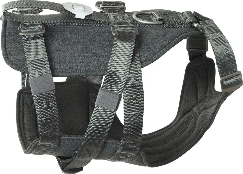 Travel Harness ECO 5-10 kg Blackberry
