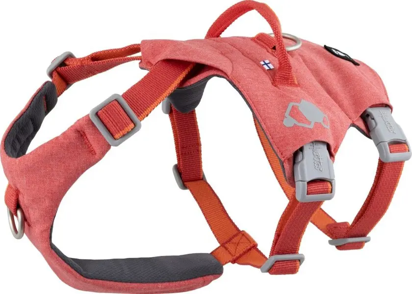 Safeguard ECO Sele 40-60 cm Strawberry