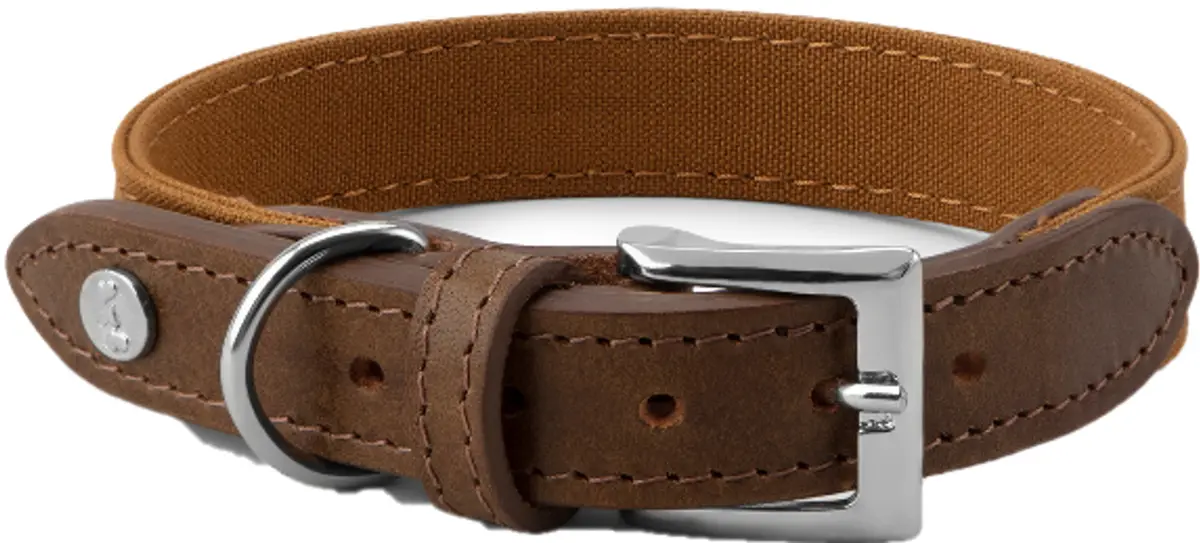 Signature Hundhalsband Brown/Mustard M-L