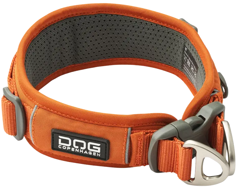 Urban Explorer Collar Orange Sun