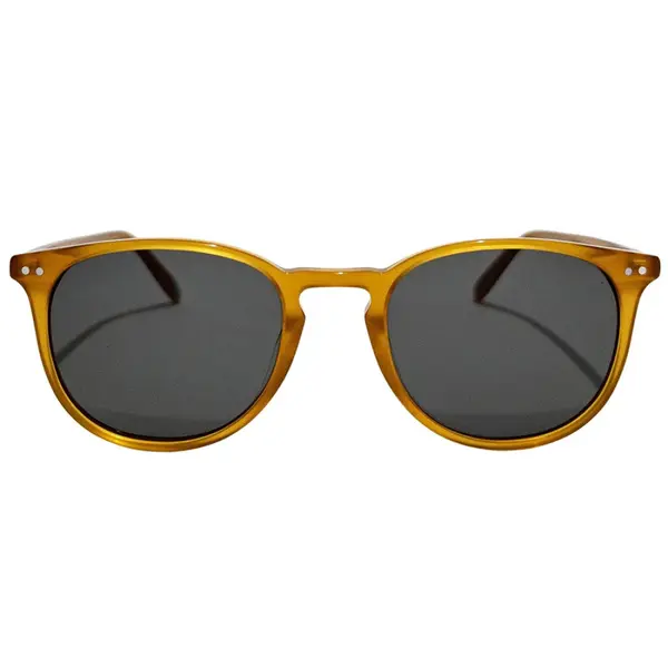 Foster L Aranci