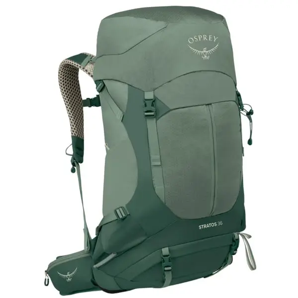 Stratos 36 Pine Leaf Green