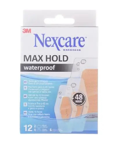 Max Hold Waterproof plaster