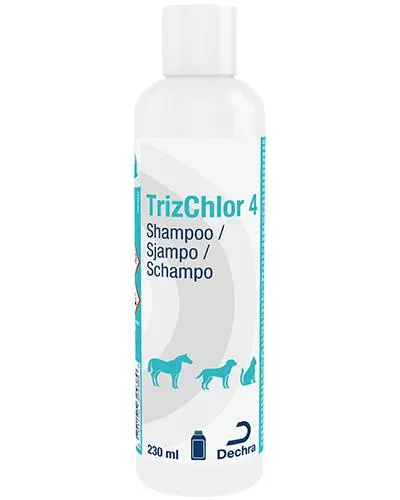 4 vet shampoo