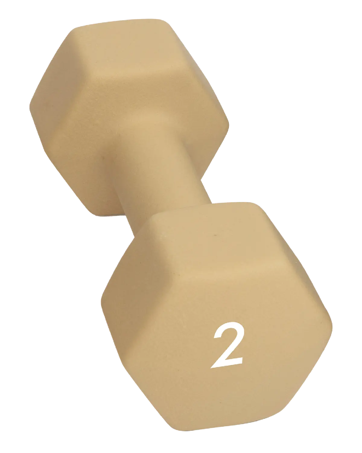 Abilica Dumbbell manual 2 kg 1 stk