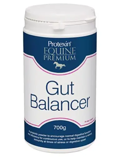 Gut balancer pulver hest 700 g