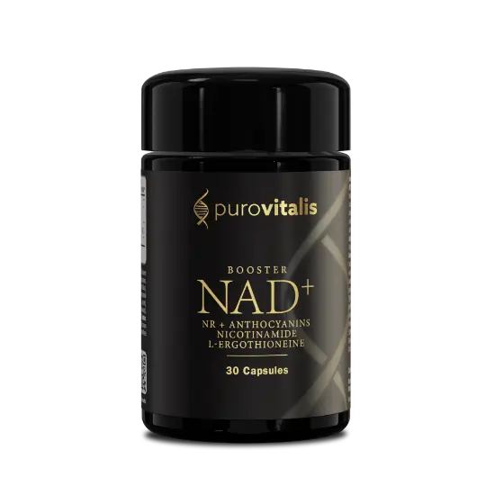 PuroVitalis NAD+ Booster – 30 veganske kapsler