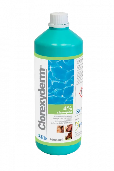 ICF Clorexyderm 4% Shampoo 1000 ml