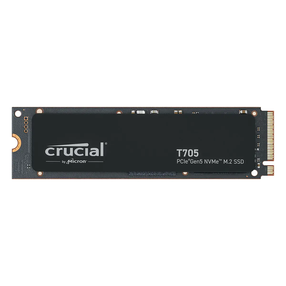 Crucial E100 - SSD - 2 TB - PCIe 4.0 x4 (NVMe)