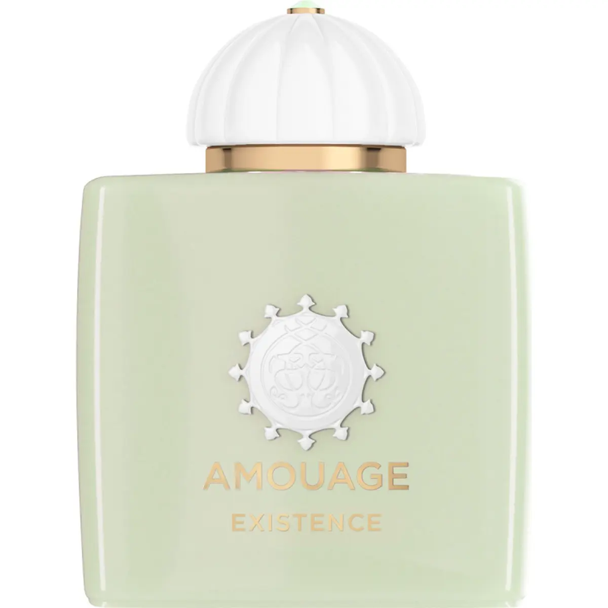Amouage Existence Eau De Parfum 100 ml