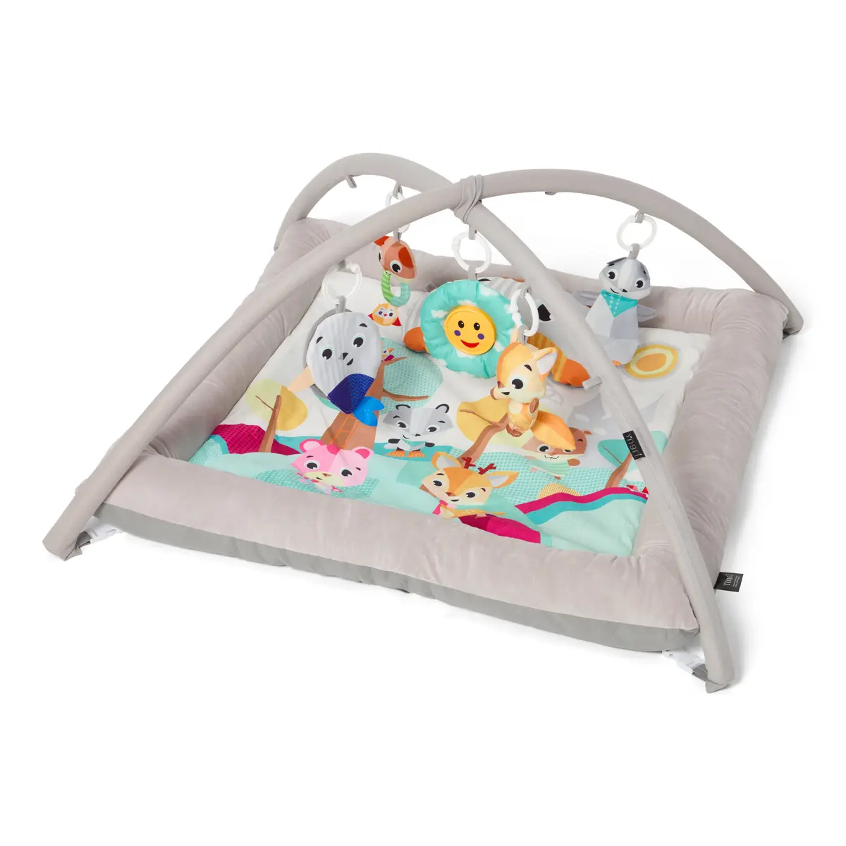 Babygym aktivitiet, mulit