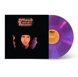 Flash & The Dynamics - The New York Sound (Rsd Clear Purple Vin (LP)