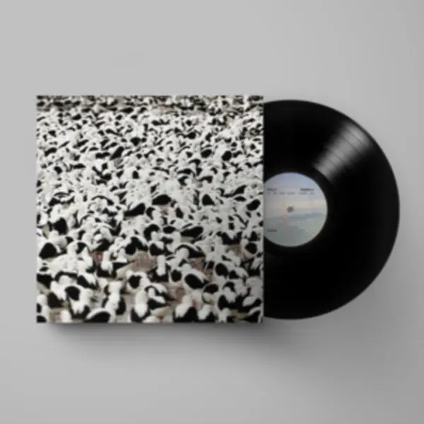 Stella Donnelly - Flood (LP)