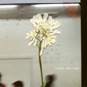 Daughter - Stereo Mind Game (Eco Coloured Viny (LP)
